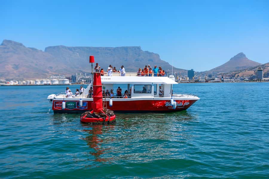 30min V&A Waterfront Harbour Cruise Cape Town - Boarding Beside Sevruga Restaurant