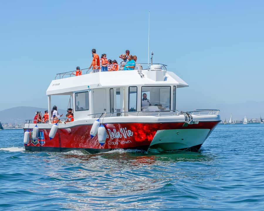 30min V&A Waterfront Harbour Cruise Cape Town - Une Belle Vie and Its Two Decks