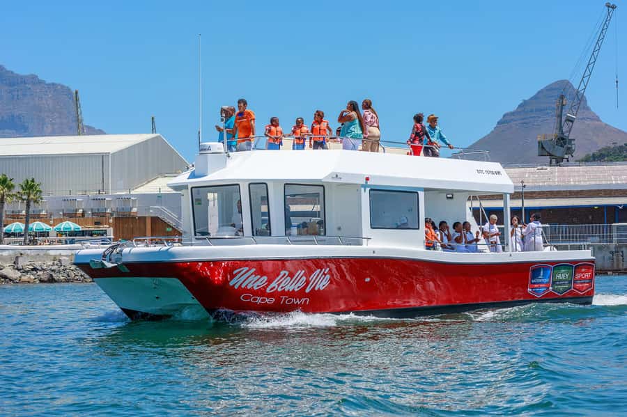 30min V&A Waterfront Harbour Cruise Cape Town - My Take on the Overall Value