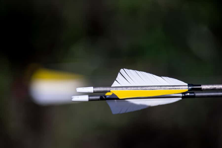 3D Archery Adventure - Plettenberg Bay - The first few minutes: safety before shooting