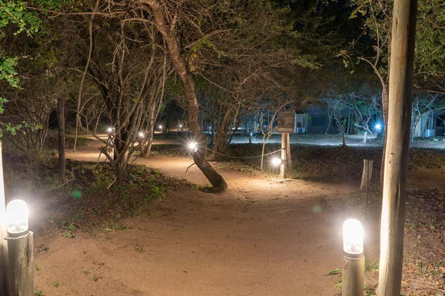 4 Day Dumela Tented Camp Safari - How the small group affects the safari