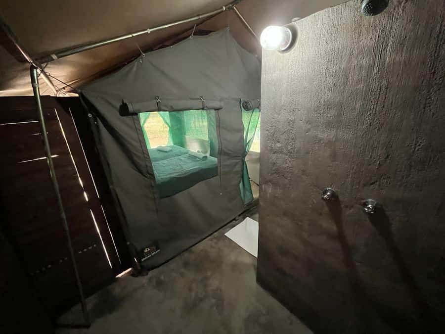 4 Day Dumela Tented Camp Safari - Day 1: From OR Tambo to a sunset drive