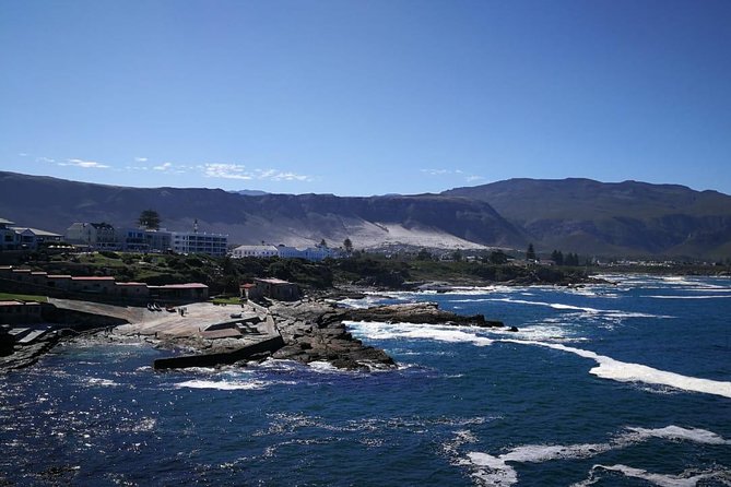 4 Day Garden Route Adventure & Safari - Day three: Tsitsikamma and the Bloukrans Bridge