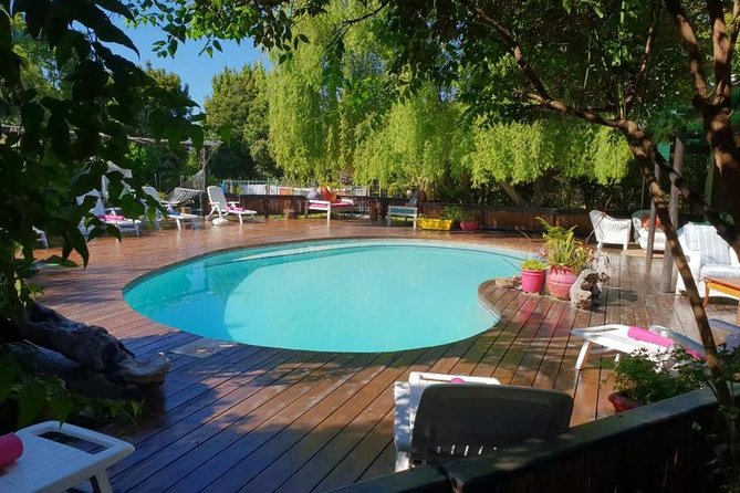 4 Day Garden Route Adventure & Safari - Day four: Morning safari and Hermanus whales