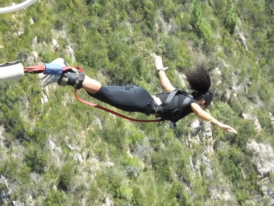 4-Day Garden Route Experience - Should you book it?