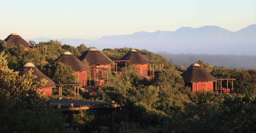 4-Day Garden Route Experience - What the $701 price really covers