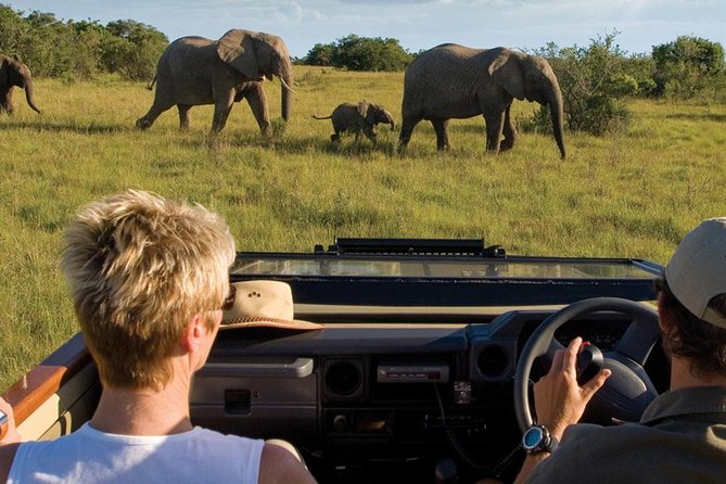 4 Day Garden Route Luxe Selection Micro Group Tour from Cape Town - Key points at a glance