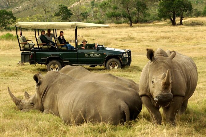 4 Day Garden Route Luxe Selection Micro Group Tour from Cape Town - Day two: Botlierskop safari and the Knysna Heads