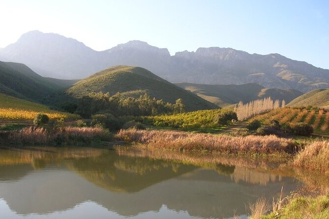 4 Day Garden Route Luxe Selection Micro Group Tour from Cape Town - Group size, guides, and the road experience