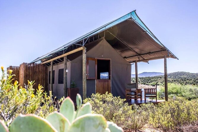 4 Day Garden Route Luxe Selection Micro Group Tour from Cape Town - Cancellation and practical booking advice