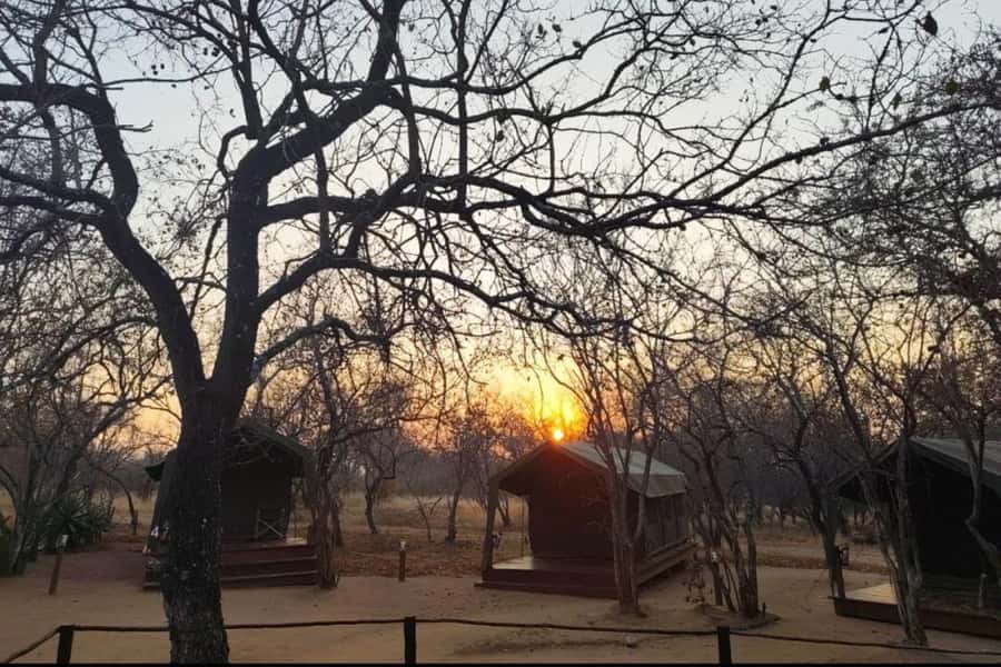 4 Day Kruger Glamping Budget Adventure - What $677 buys you in the Kruger region