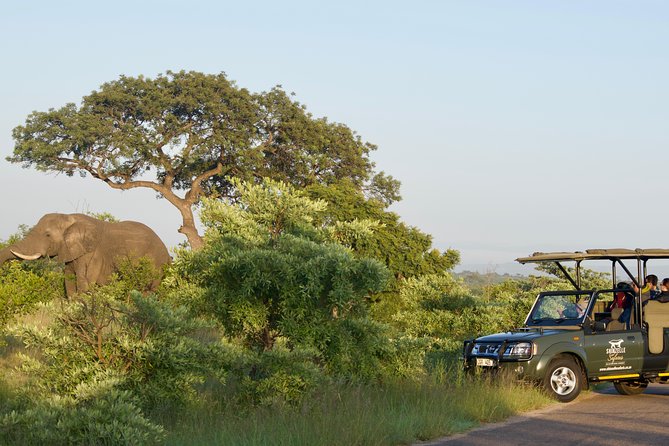 4-Day Kruger National Park Safari including Breakfast and Dinner - Key points to know before you book