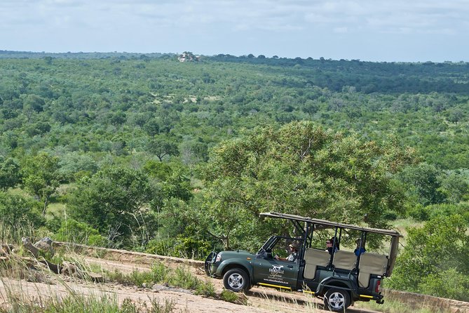 4-Day Kruger National Park Safari including Breakfast and Dinner - Day 2: An open vehicle and a full day in Kruger