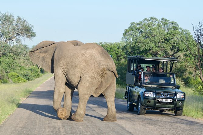 4-Day Kruger National Park Safari including Breakfast and Dinner - Day 3: More time for animal sightings and interpretation