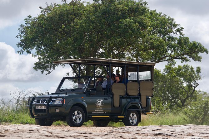4-Day Kruger National Park Safari including Breakfast and Dinner - Day 1: Johannesburg to Gecko Lodge and an afternoon safari