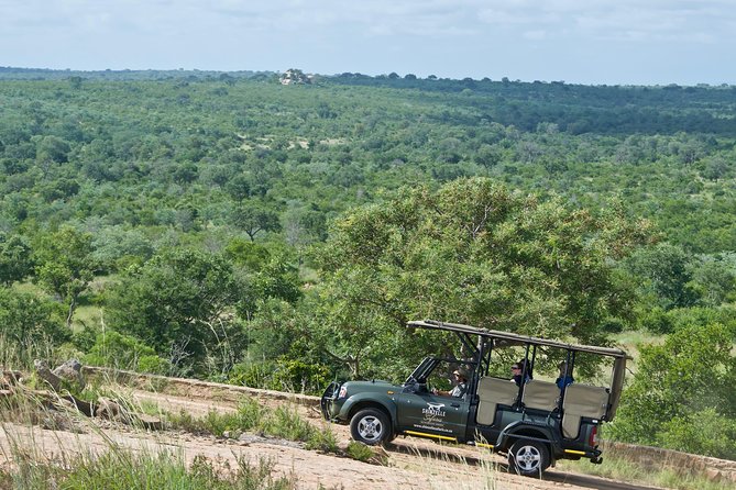 4-Day Kruger Park Safari & Panoramic Tour Combo including Breakfast and Dinner - Day 4: One last morning in Kruger
