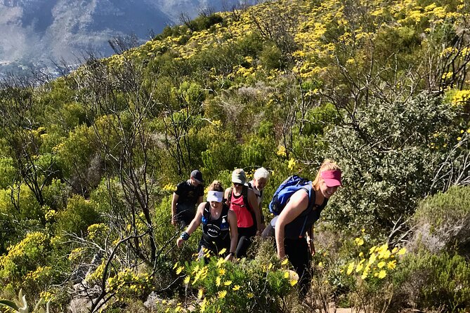 4 Day Table Mountain 13 Peaks Challenge - Four days across Cape Town’s 13 peaks
