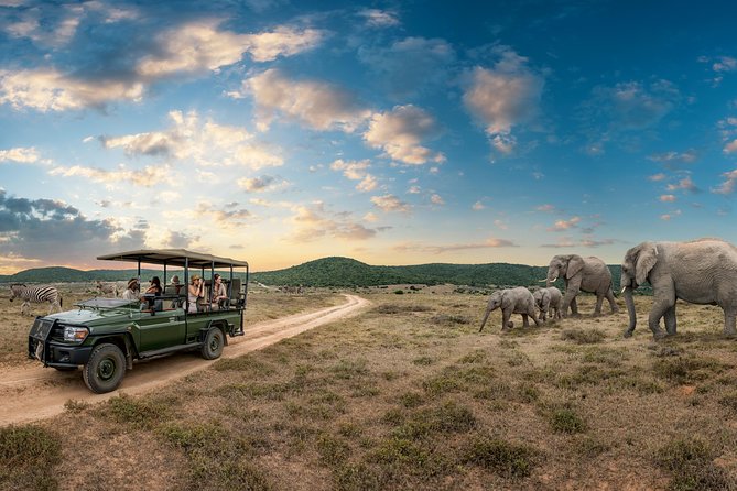 4 days Kruger Park Big 5 Safari and Awesome Panorama Route - Why this route works from Johannesburg