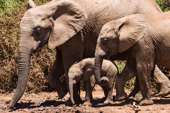 4 days Kruger Park Big 5 Safari and Awesome Panorama Route - What to bring for the bush