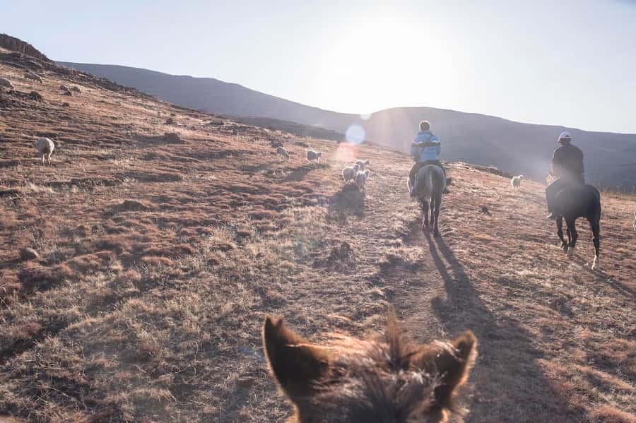 4x4 into Lesotho From Underberg - Horse Ride / Village Life - The ride back down the pass