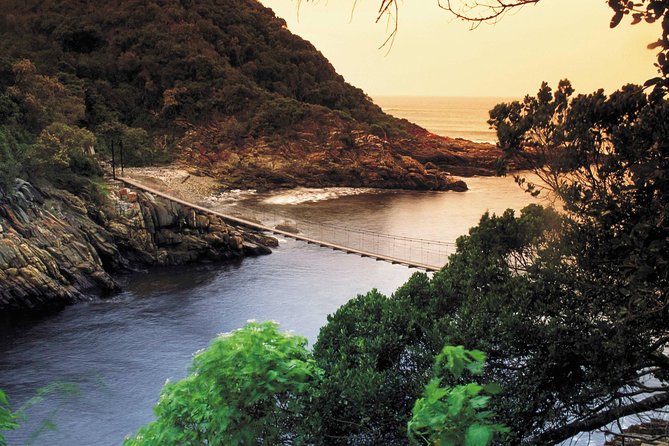 5 Day Cape to Addo Safari - Garden Route Small Group Tour - What the $611.81 price really covers