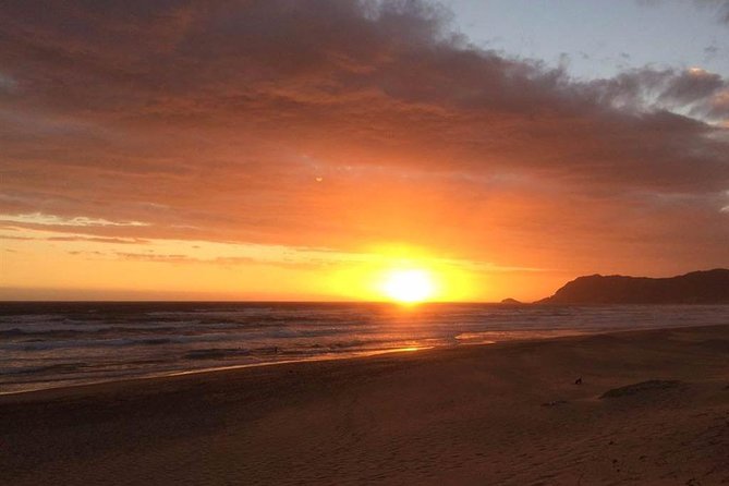 5 Day Cape to Addo Safari - Garden Route Small Group Tour - Accommodation, group size, and the pace