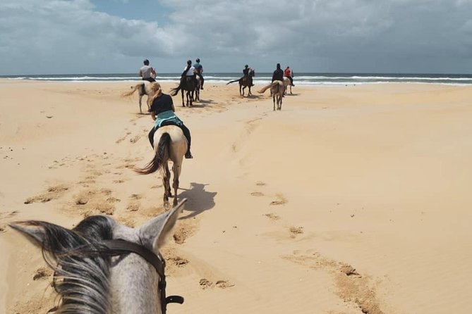 5 Day Garden Route and Addo Safari - Best of South Africa Small Group Tour - Day 5: Wilderness, a private reserve, and the long return