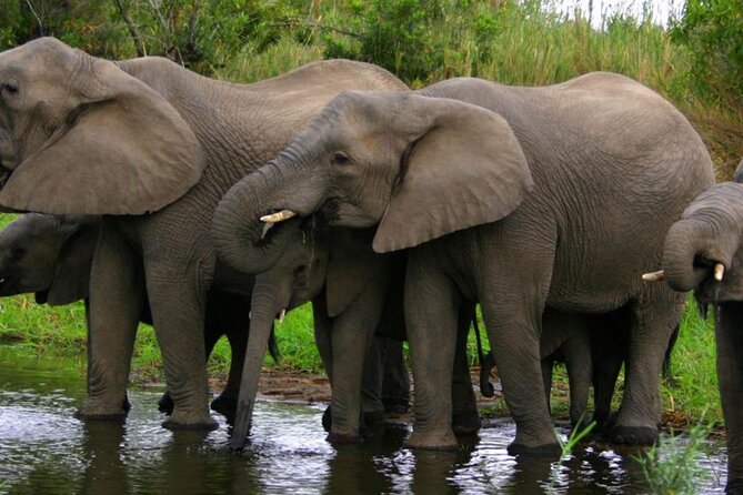 5 Day Garden Route Small Group Tour Fr CapeTown - Departs Mondays - A five-day road trip with real range