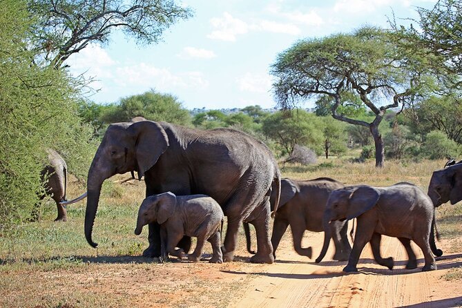 5 Day Garden Route Small Group Tour Fr CapeTown - Departs Mondays - Day 2: Knysna Heads, Robberg, and Plettenberg Bay