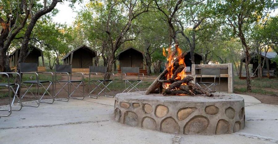 5 Day Kruger Glamping Budget Adventure - A five-day safari with more variety than a standard Kruger break