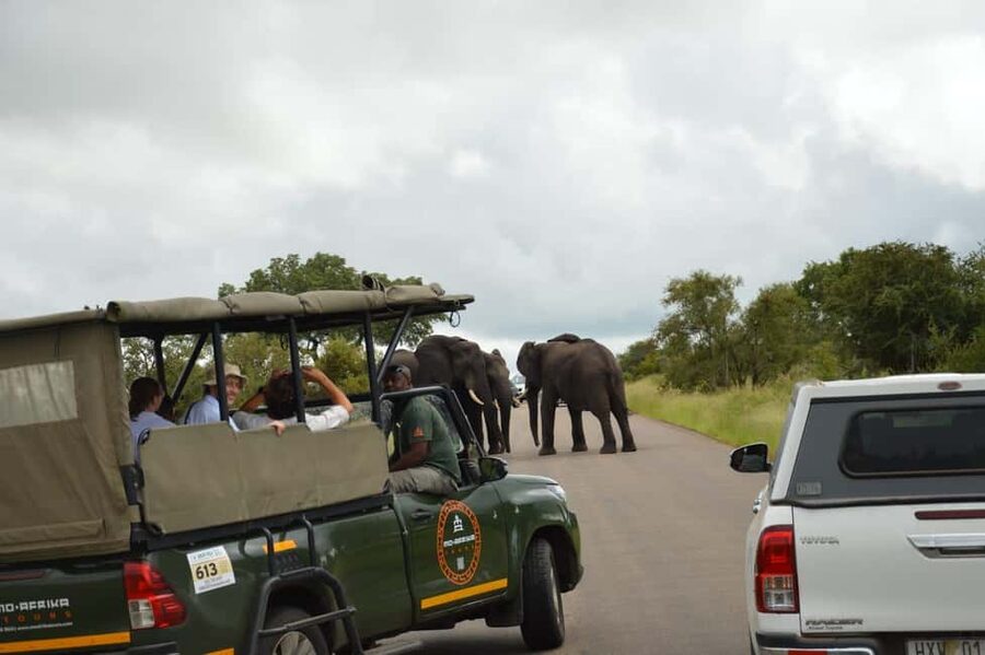 5 Day Kruger Glamping Budget Adventure - Day 5: An optional walk before the airport transfer