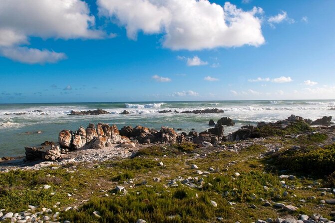 6-Day Garden Route & Addo South African Adventure from Cape Town - The trip in six useful points