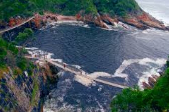 7- 10 Days Tour Package Cape Town and Garden Route - Day 3: Lions, chocolate, wine, and Franschhoek