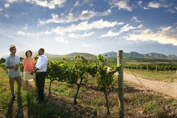 7-day Cape Town, Winelands, Garden Route and Addo National Park - Day seven: Mossel Bay options and wine at Spier
