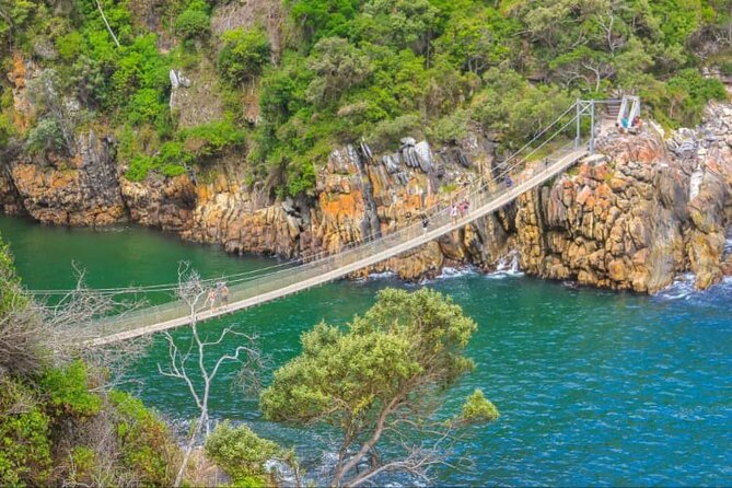 7-Day Garden Route Safari Adventure from Cape Town - Day 6: Tsitsikamma turns up the adrenaline