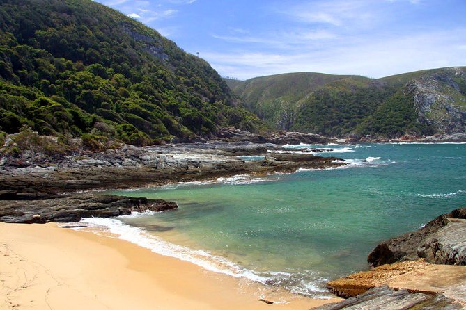 7 Day Garden Route to Addo, Cape Point and Winelands Combo tour - Day 6: Three wine estates and up to 15 tastings