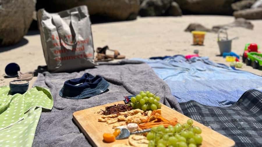 A Curious Adventure through Chapman’s Peak Drive: Cape Point - Guides, languages, and group comfort