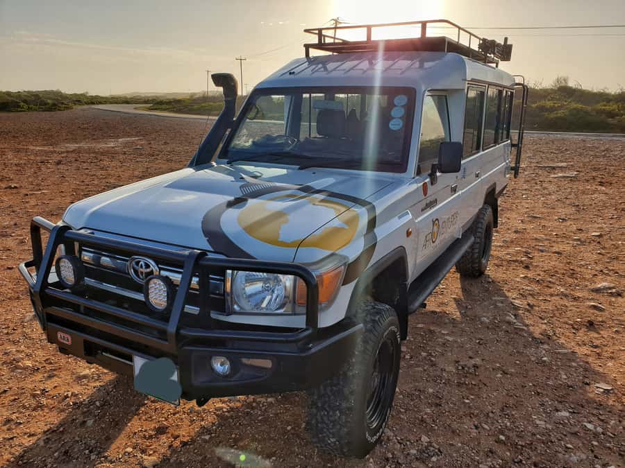 Addo Elephant National Park All Inclusive Full-Day Safari - Is $186 a fair price?