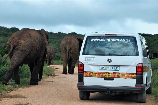 Addo Elephant National Park from Port Elizabeth - FD01 - Practical details before you book