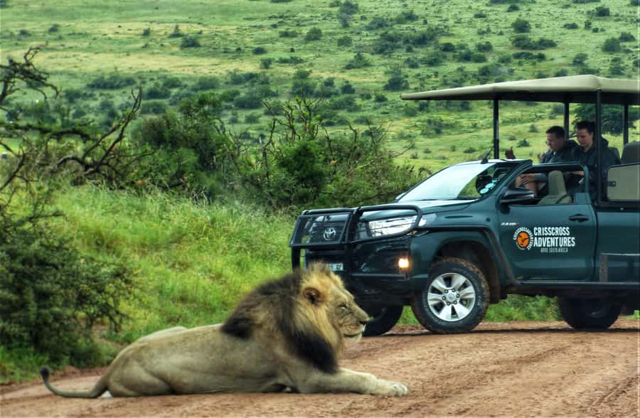 Addo Elephant National Park: Full-Day Safari Tour with Lunch - An Addo safari with an important route detail
