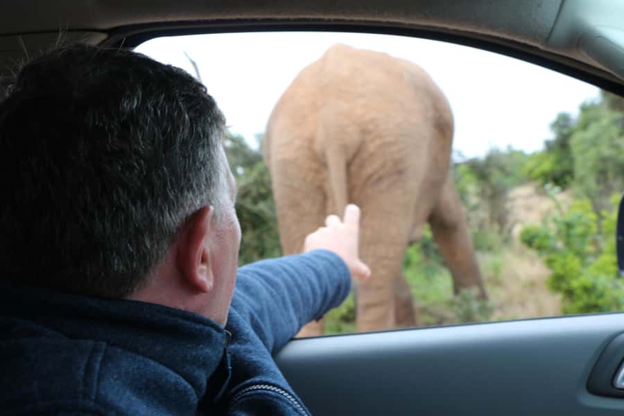Addo Elephant National Park Game Drive Day Tour With Lunch - The first game drive and the search for larger animals