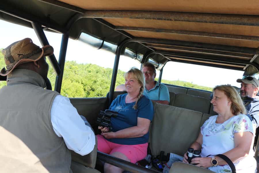 Addo Elephant National Park Game Drive Day Tour With Lunch - Who should choose this Addo safari