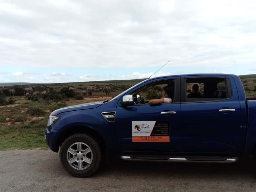 Addo Elephant National Park Game Drive Day Tour With Lunch - The first 2.5 hours inside Addo