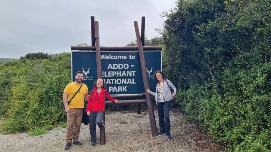 Addo Elephant National Park Private Full-Day Safari - A private vehicle changes the feel of the safari