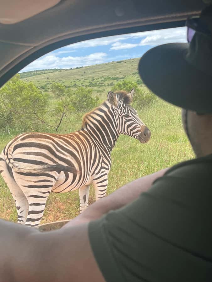 ADDO ELEPHANT PARK - Simple preparation for a better day