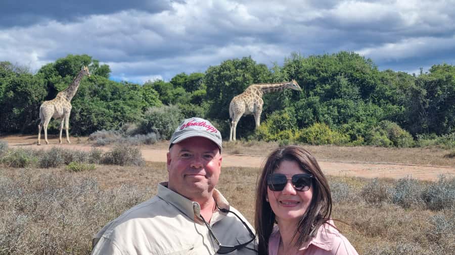 Addo Elephant Park and Giraffe Walk Private Full Day Safari - Morning game viewing in Addo Elephant National Park
