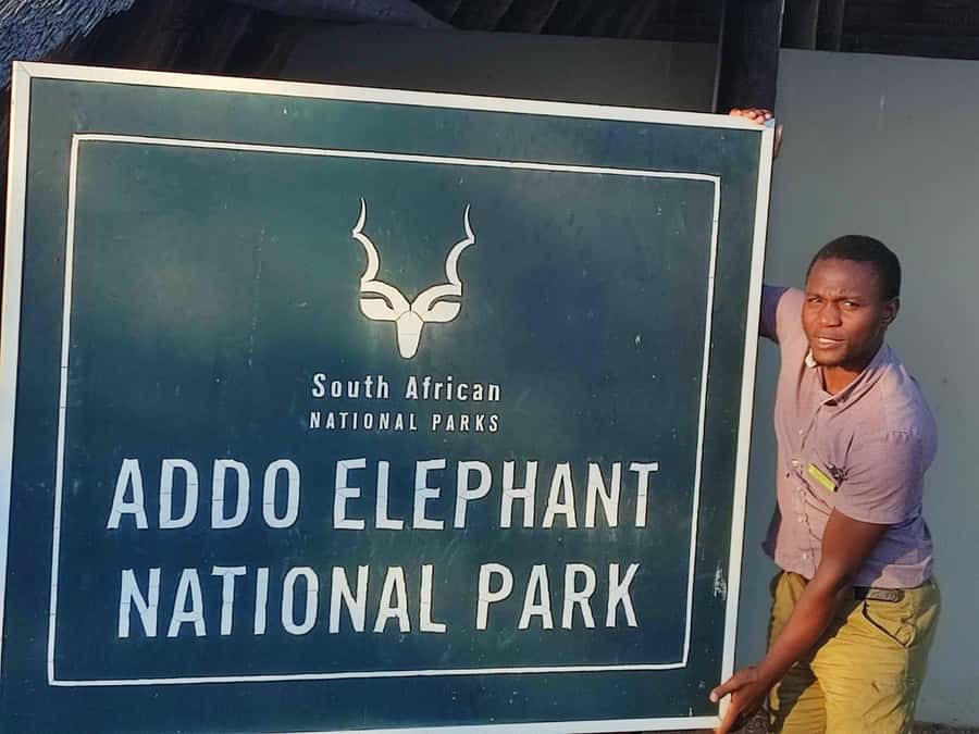 Addo Elephant Park Tours. Full Day - Pickup from Port Elizabeth or Addo
