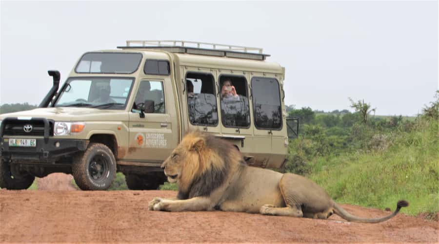 Addo National Park: Guided Half-Day Safari - Drinks, snacks, and the practical value of the price