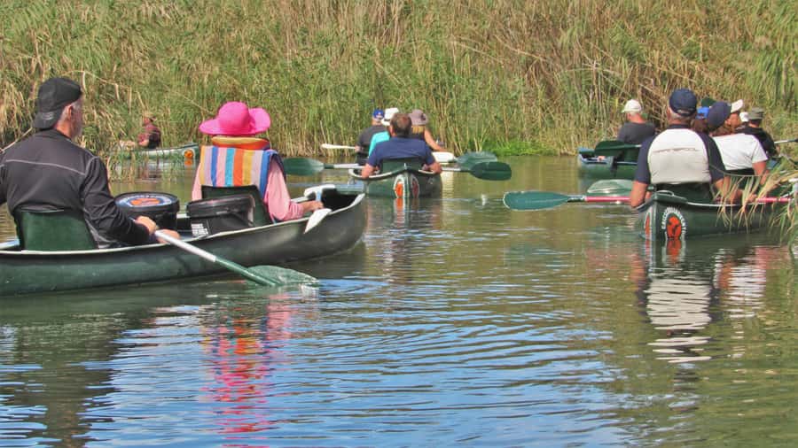 Addo River Safari - Guided Tour via Canoe - Is $49 a fair price?