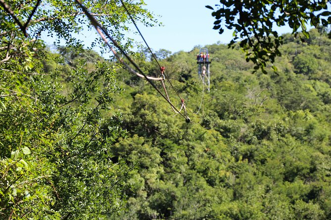 Aerial Cable Trail in Hazyview - A family activity with a real thrill
